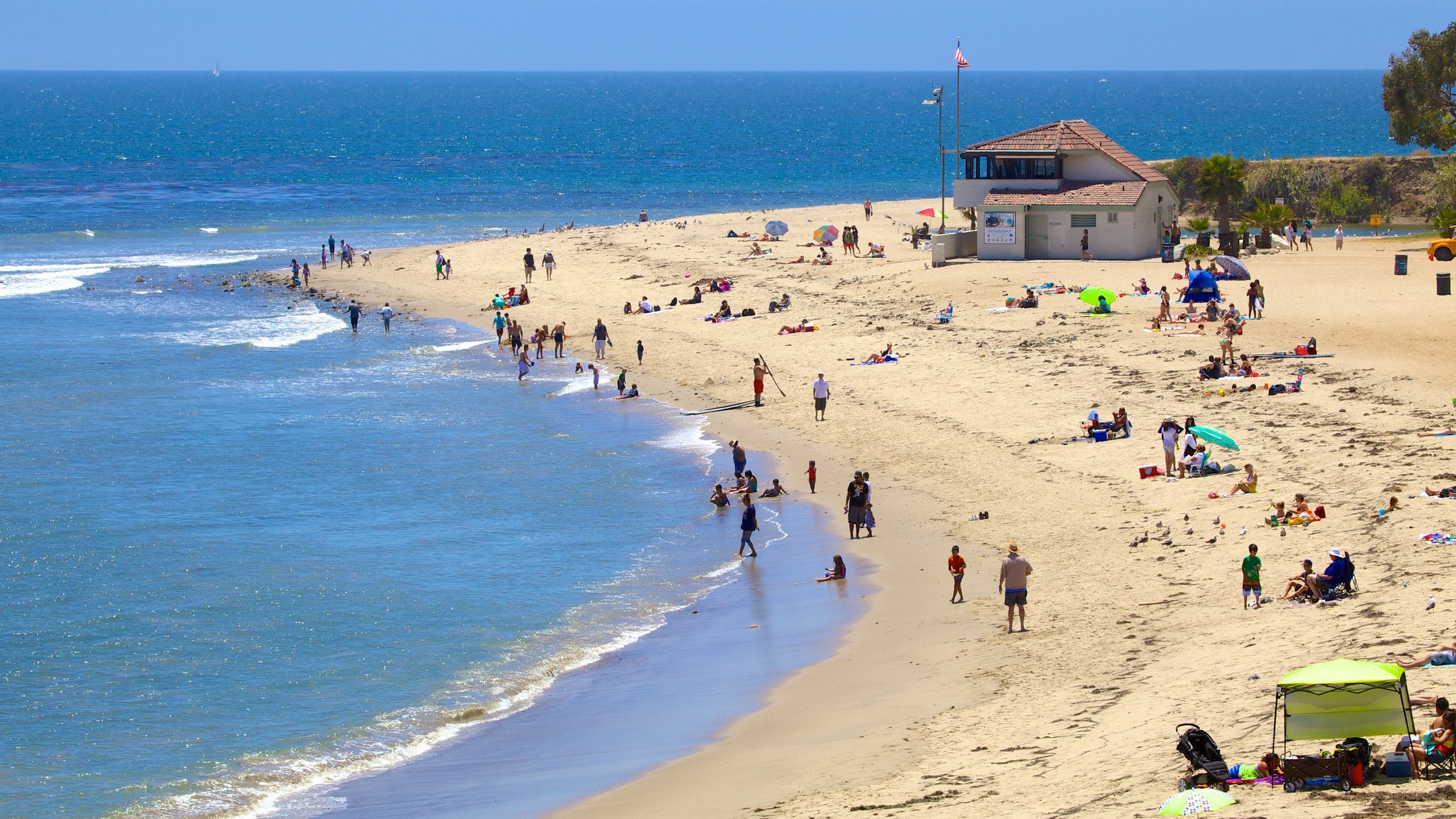beachscape with sunbathers