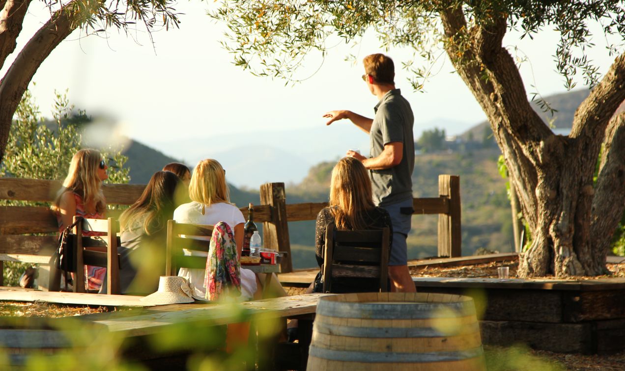Wine Country - Photo Credit: Reuben Bedingfield