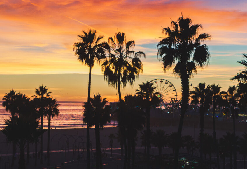 Sunset over beach with palm trees and Ferris wheel.