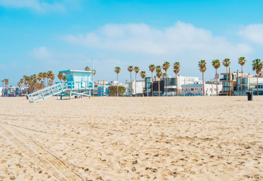 Lifeguard tower and palm trees on sunny Venice Beach.