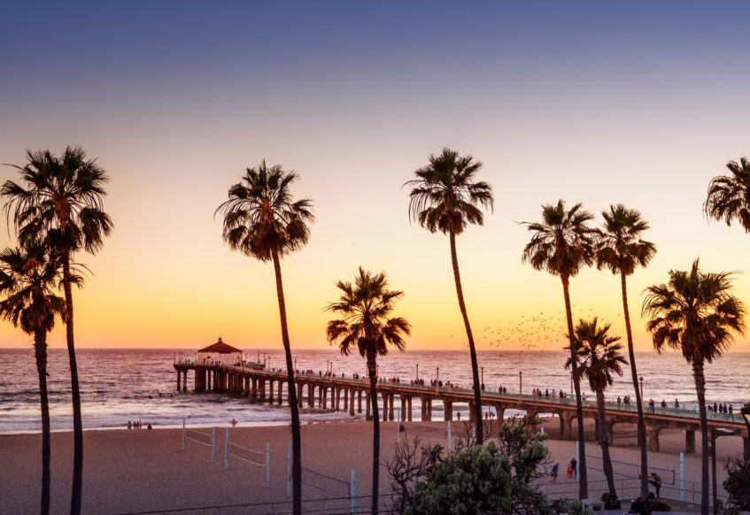 Palm trees and pier at sunset over the ocean.