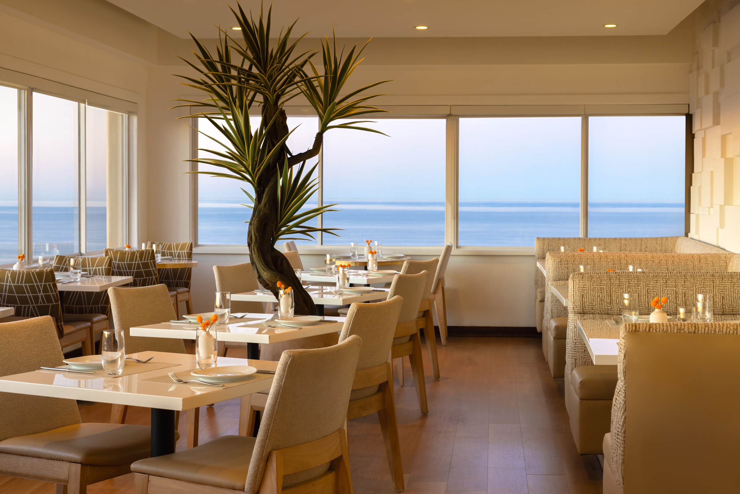 Ocean-view dining room with tables and large indoor plant.