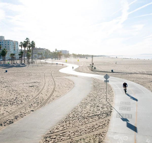 Santa Monica Pier entrance with palm trees.