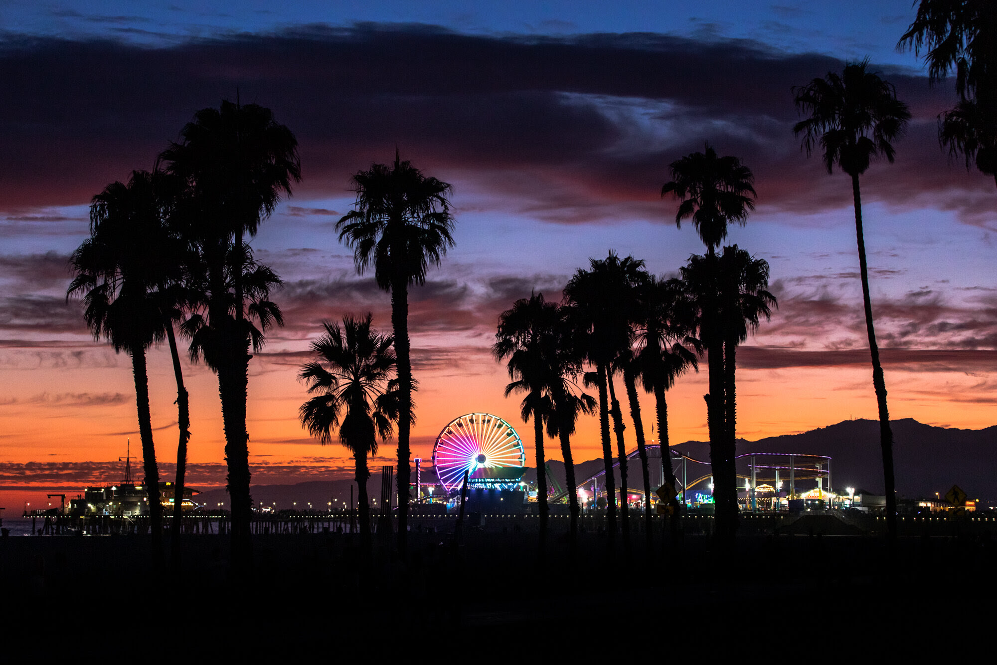 Ferris wheel glowing behind silhouetted palm trees.