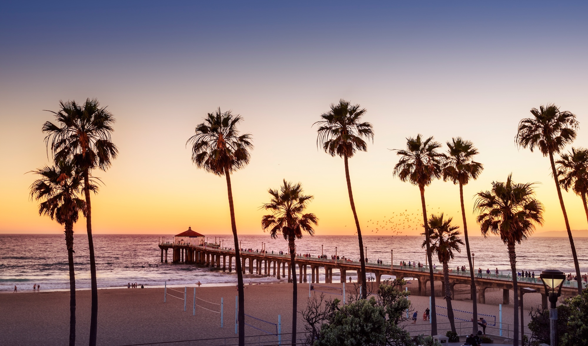 Palm-lined pier at sunset overlooking ocean and beach.